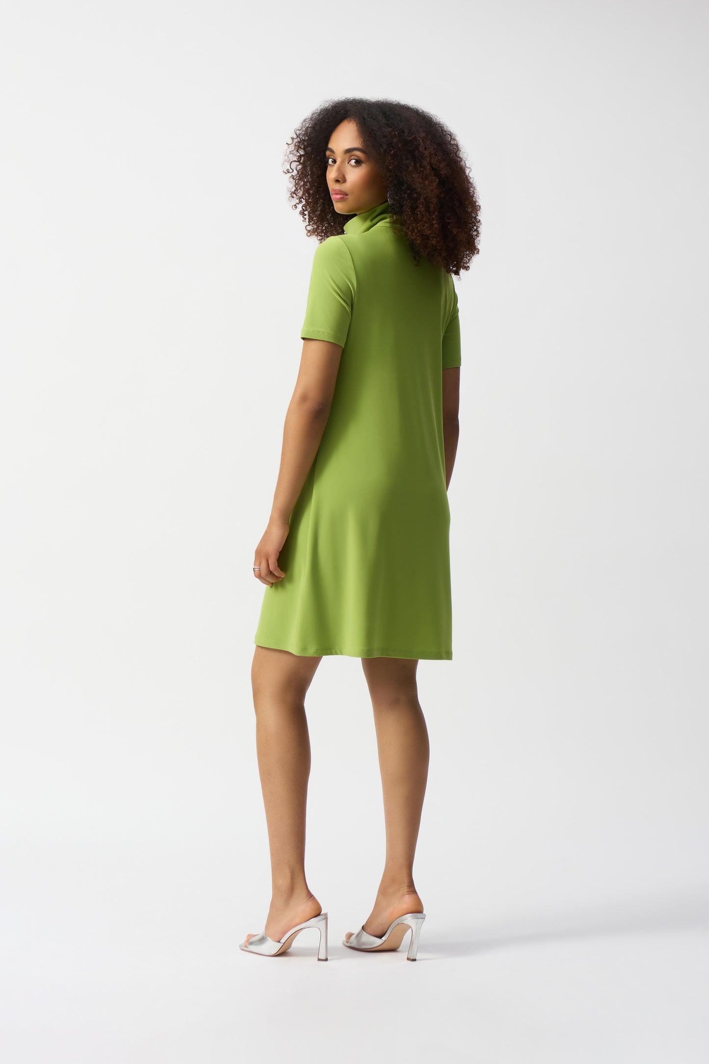 Silky Knit Zipped Collar Trapeze Dress
